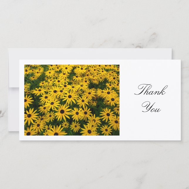 Rudbeckia Hirta (Black-eyed Susans) - Thank You Card (Front)