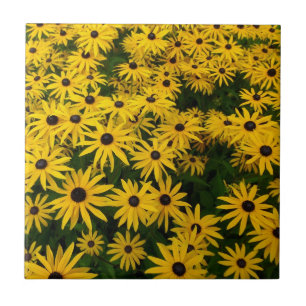 Rudbeckia Hirta (Black-eyed Susans) Tile