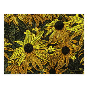 RUDBECKIAS PHOTO PRINT