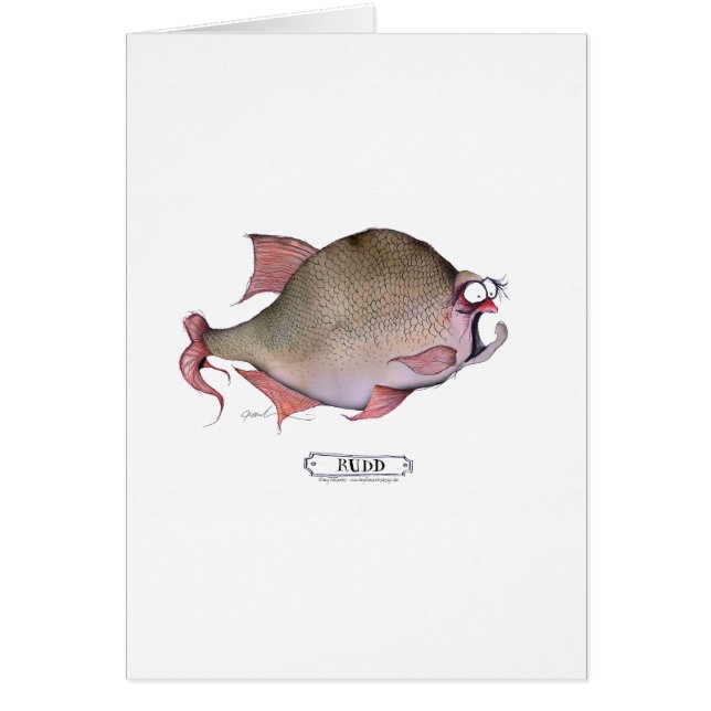 Rudd fish, tony fernandes (Front)