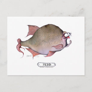 Rudd fish, tony fernandes postcard