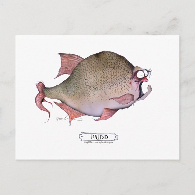 Rudd fish, tony fernandes postcard (Front)