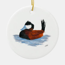 Ruddy Duck 