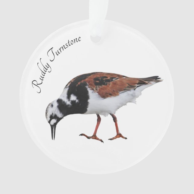 Ruddy Turnstone Ornament (Front)