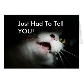 Rude Cat Custom and Sayings