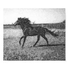 RUDOLFO - HORSE POSTER