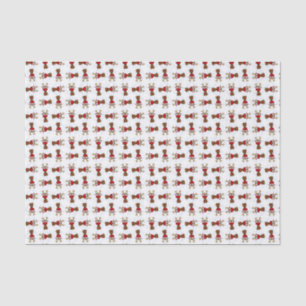 Rudolph, tissue paper