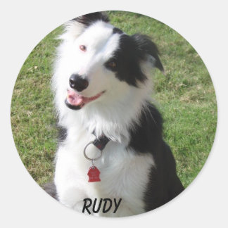 RUDY CLASSIC ROUND STICKER