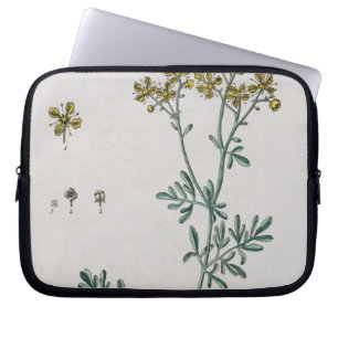 Rue, plate 7 from 'A Curious Herbal', published 17 Laptop Sleeve