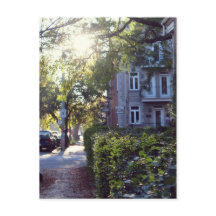 Rue Sicard