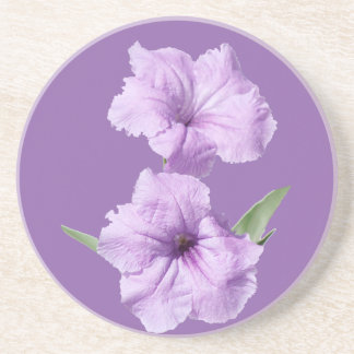 Ruellia Wild Petunia Flowers Coaster