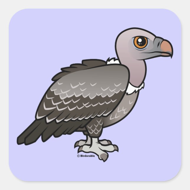 Rueppell's Vulture Square Sticker (Front)
