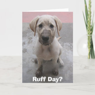 Ruff Day? Card