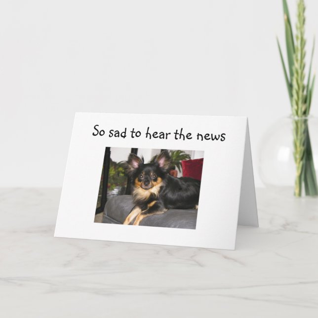 RUFF TURNING 40! BIRTHDAY CARD (Front)