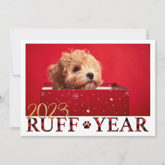 Ruff Year Puppy Love Christmas Card