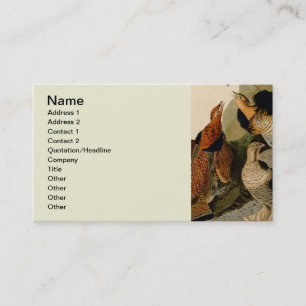Ruffed Grouse Audubon Game Bird Business Card