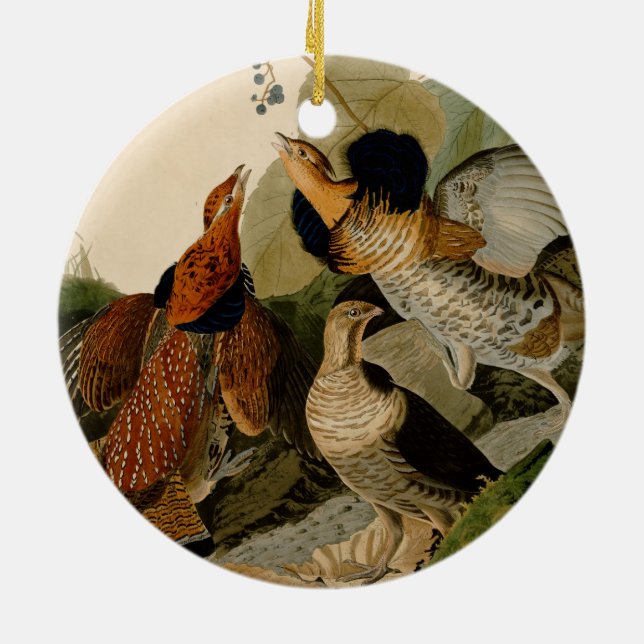Ruffed Grouse Audubon Game Bird Ceramic Tree Decoration (Back)