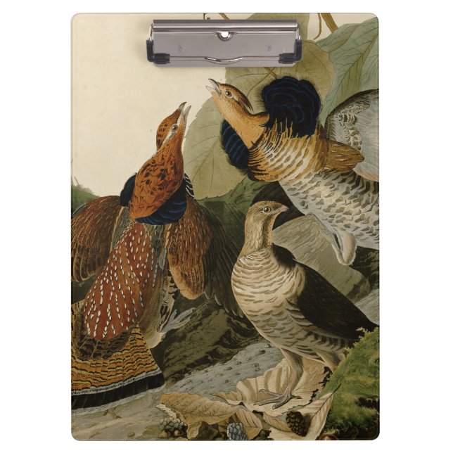 Ruffed Grouse Audubon Game Bird Clipboard (Front)