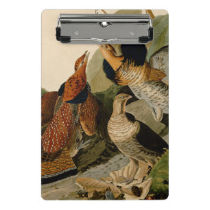 Ruffed Grouse Audubon Game Bird Mini Clipboard