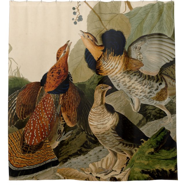 Ruffed Grouse Audubon Game Bird Shower Curtain (Front)