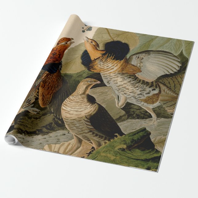 Ruffed Grouse Audubon Game Bird Wrapping Paper (Unrolled)
