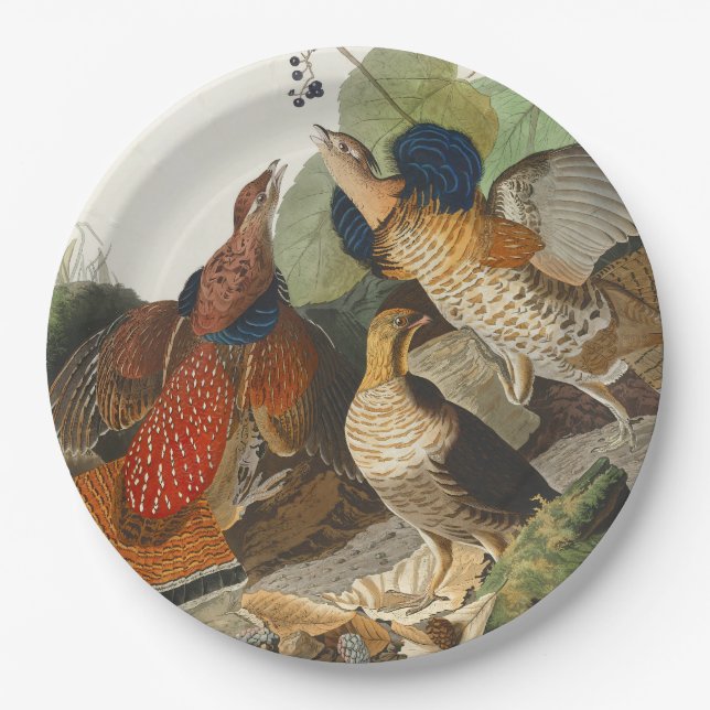 Ruffed Grouse Audubon Wildlife Painting Paper Plate (Front)