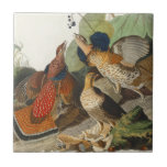Ruffed Grouse Audubon Wildlife Painting Tile<br><div class="desc">The Ruffed Grouse is a beautiful bird painting created by John James Audubon in the early 1800s. This medium-sized grouse is native to the forests stretching from the Appalachian Mountains to Alaska, residing across North America. A non-migratory species, the ruffed grouse is known for its distinctive appearance, especially the feathered...</div>