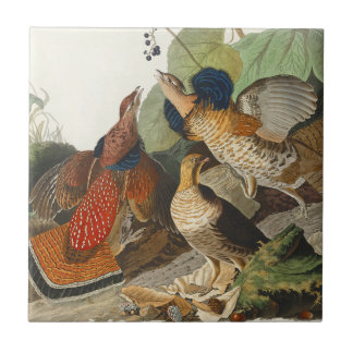 Ruffed Grouse Audubon Wildlife Painting Tile