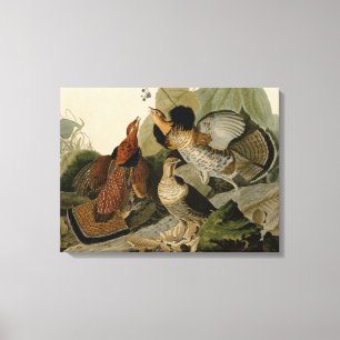 Ruffed Grouse by John Audubon Canvas Print