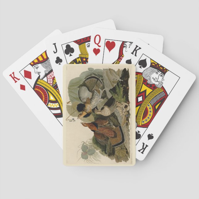 Ruffed Grouse - from Audubon's Birds of America Playing Cards (Back)