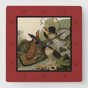 Ruffed Grouse - from Audubon's Birds of America Square Wall Clock