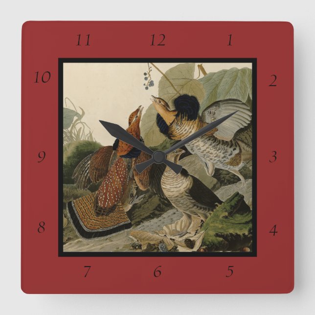 Ruffed Grouse - from Audubon's Birds of America Square Wall Clock (Front)