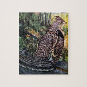 Ruffed Grouse in the Forest Jigsaw Puzzle