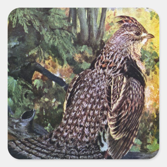 Ruffed Grouse in the Forest Square Sticker (Front)