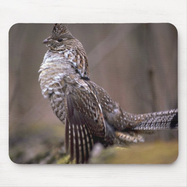 Ruffed Grouse Mouse Mat (Front)