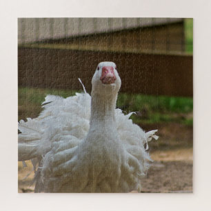 Ruffled Goose Jigsaw Puzzle