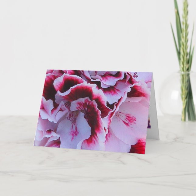 Ruffled Pelargonium Greeting Card (Front)