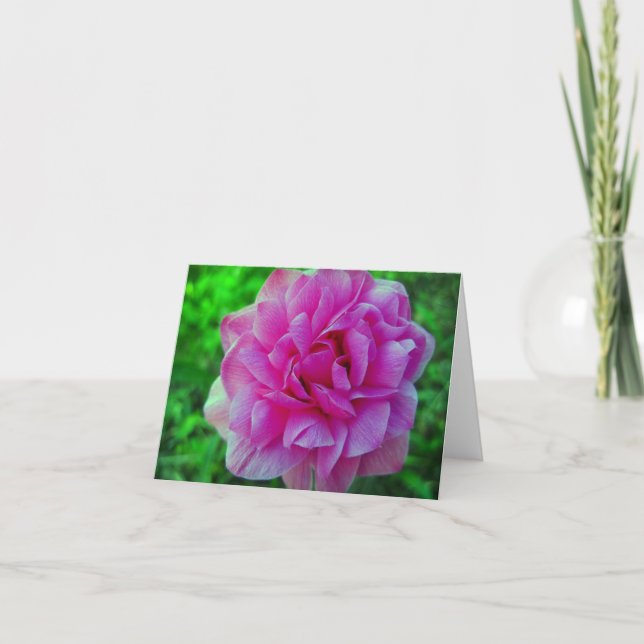 Ruffled Pink Spring Flower Floral Note Card (Front)