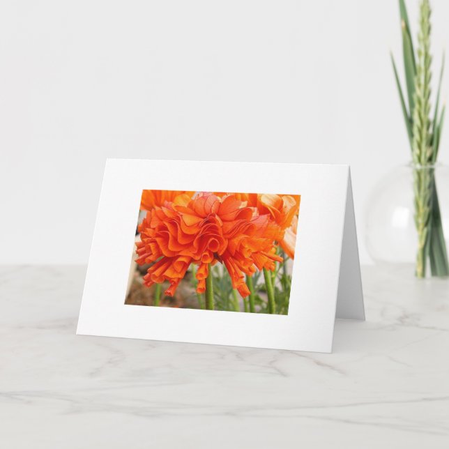 Ruffled Ranunculus Card (Front)