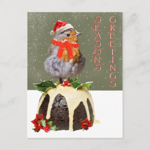 Ruffled Robin Christmas Postcard