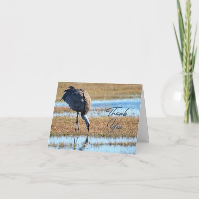 Ruffled Sandhill Crane Photo Thank You Card (Front)