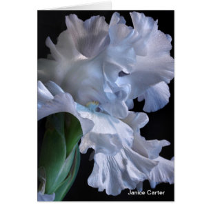 Ruffles