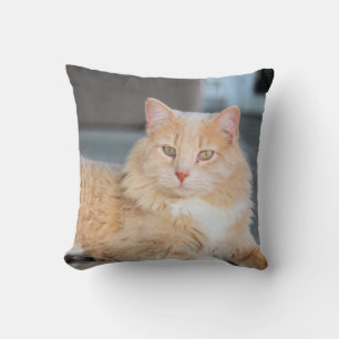 Ruffles    cushion