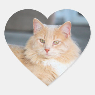 Ruffles  heart sticker