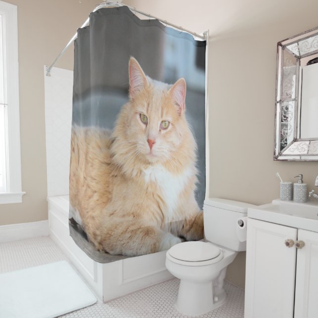 Ruffles Shower Curtain (In Situ)