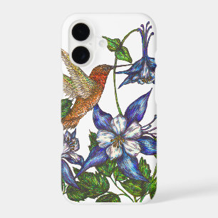 Rufous Hummingbird and Columbine