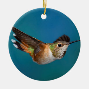 Rufous Hummingbird Ceramic Tree Decoration
