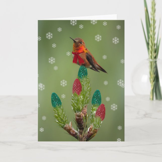 Rufous Hummingbird Christmas Holiday Card (Front)