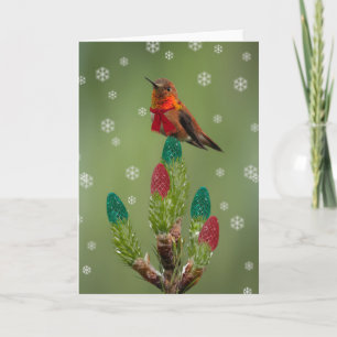 Rufous Hummingbird Christmas Holiday Card