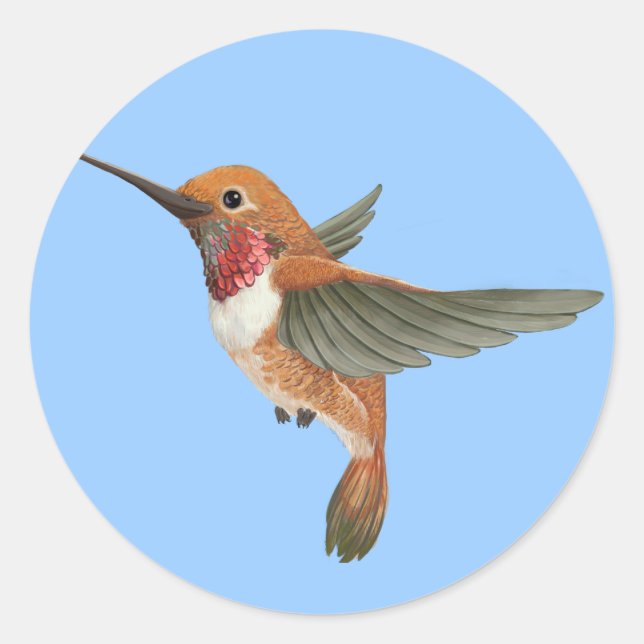 Rufous Hummingbird Classic Round Sticker (Front)